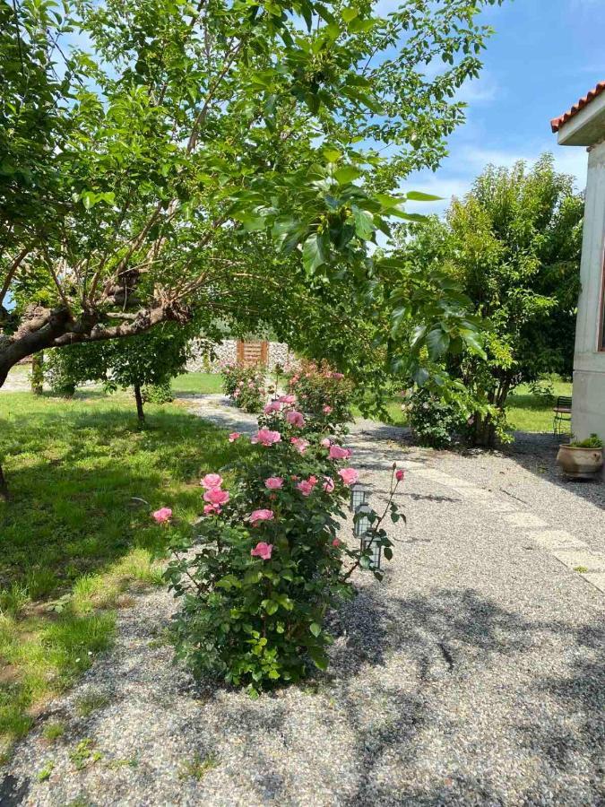 Kampus Luxury Villas Trikala  Exterior photo